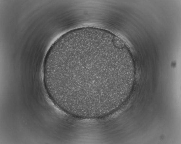 X0000116780888201001281652