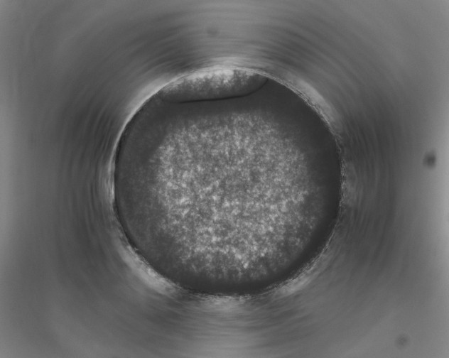 X0000116780892201001281652