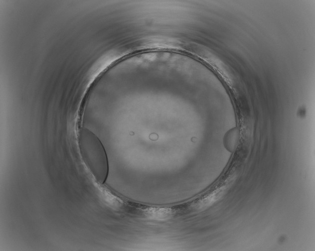 X0000116780893201001281651