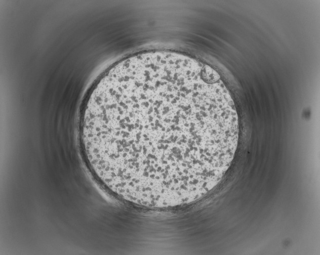 X0000116780894201001281651