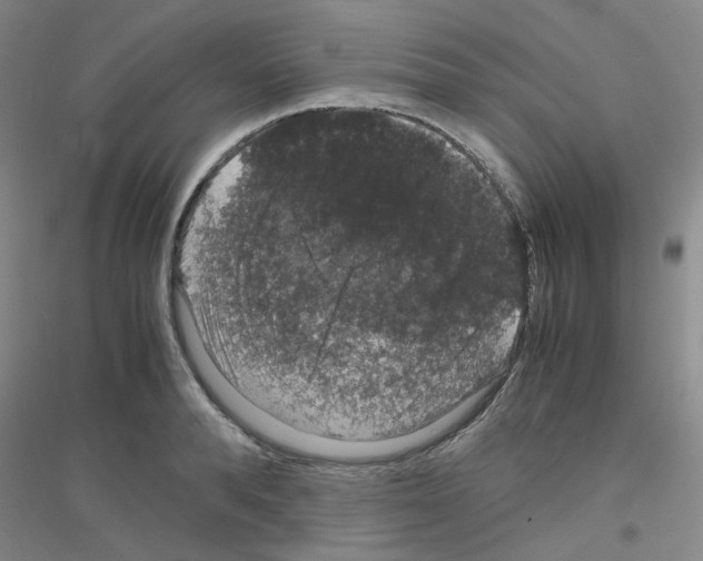 X0000116780896201001281651