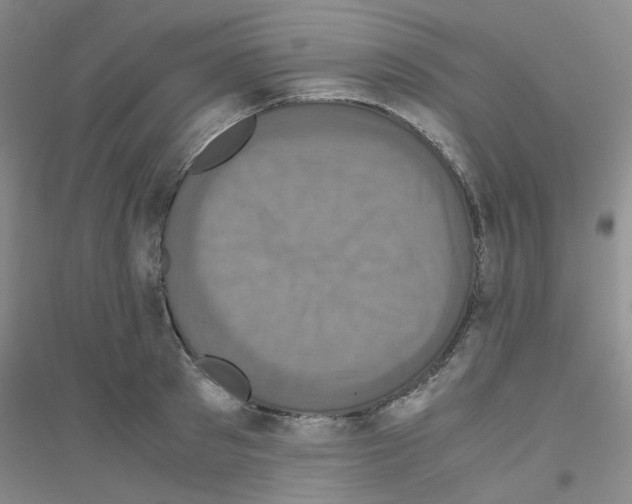 X0000116780897201001281651