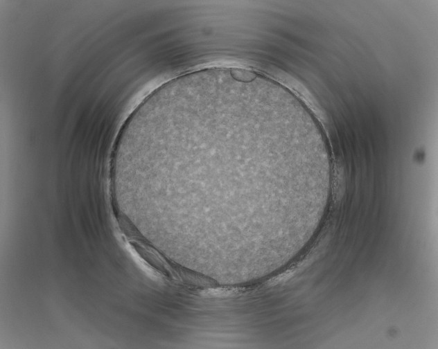 X0000116780898201001281651