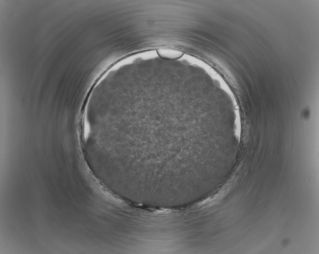 X0000116780899201001281651