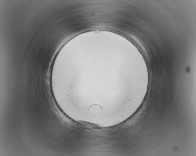 X0000116780900201001281651