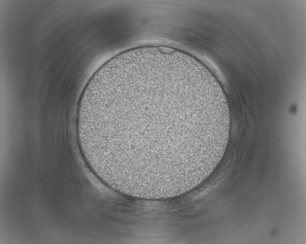 X0000116780903201001281651