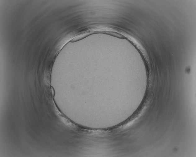 X0000116780905201001281651