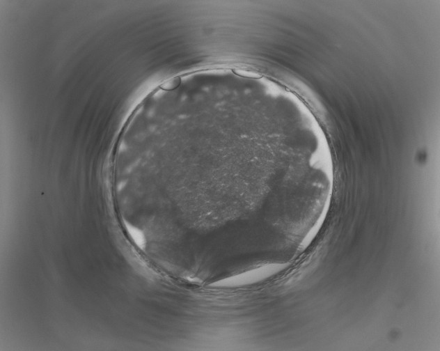 X0000116780907201001281651