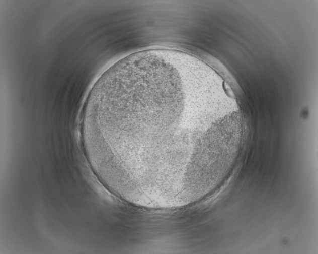 X0000116780908201001281651