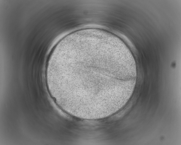 X0000116780910201001281651