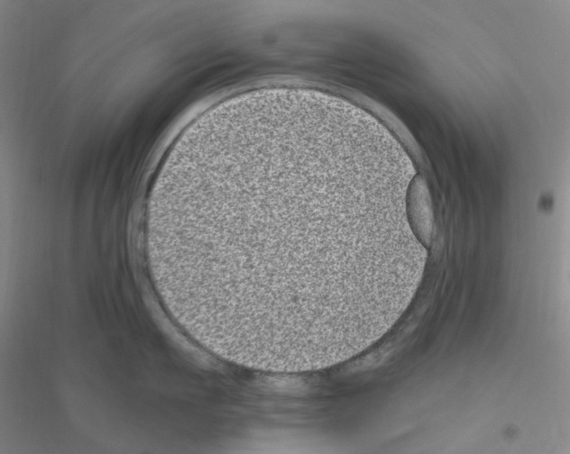 X0000116780911201001281651