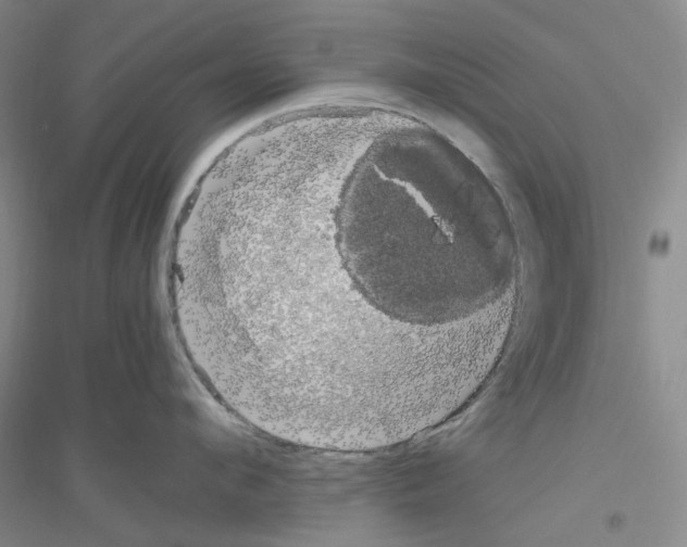 X0000116780912201001281651