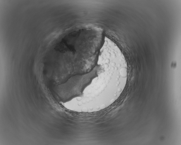 X0000116780913201001281651