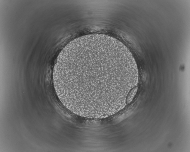 X0000116780914201001281651