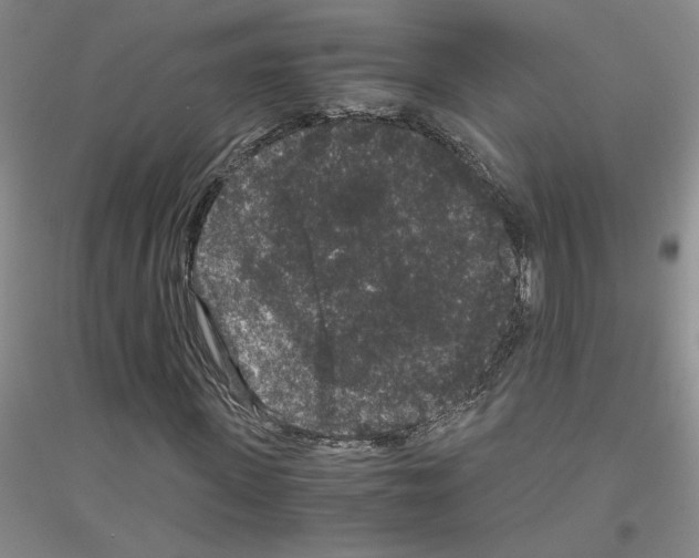 X0000116780915201001281651