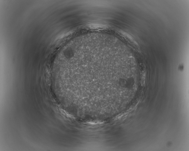 X0000116780917201001281651