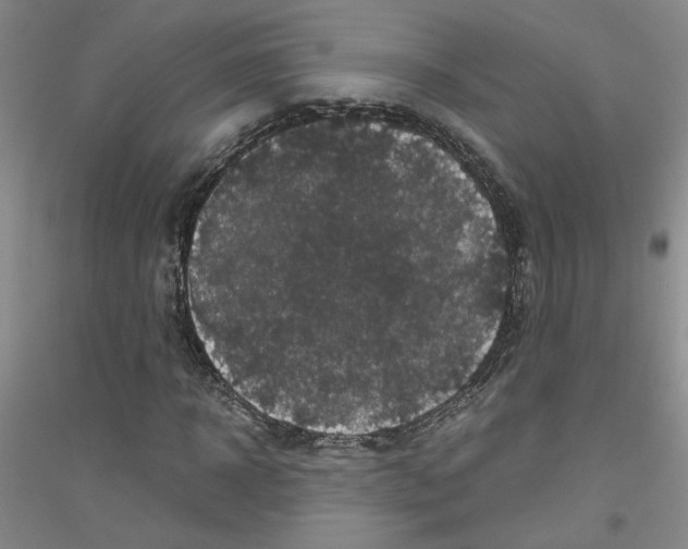 X0000116780918201001281651