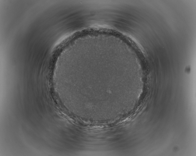 X0000116780919201001281651