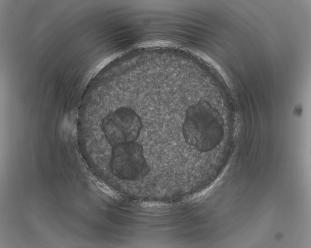 X0000116780921201001281651