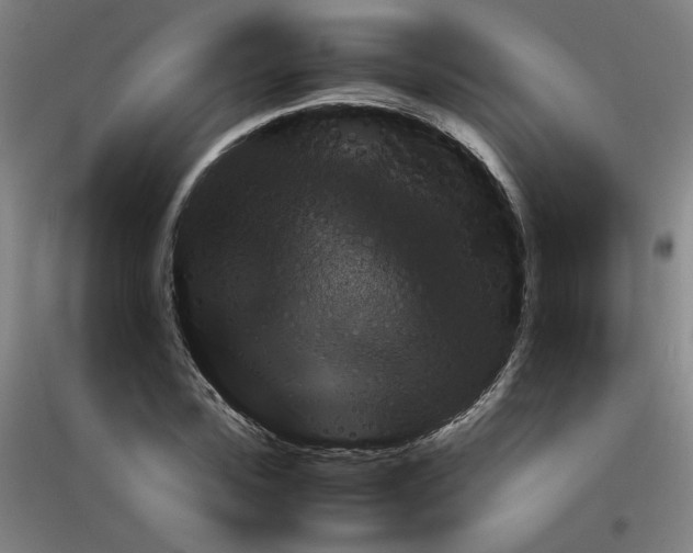 X0000116780923201001281651