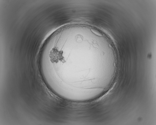 X0000116780925201001281651