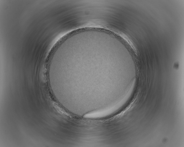 X0000116780926201001281651