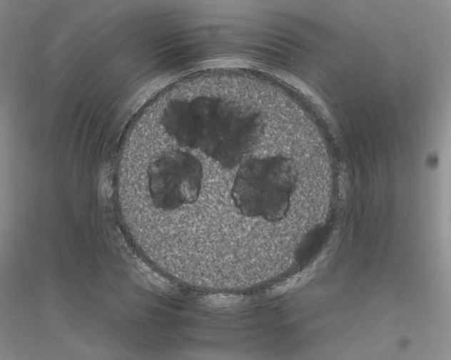 X0000116780929201001281651