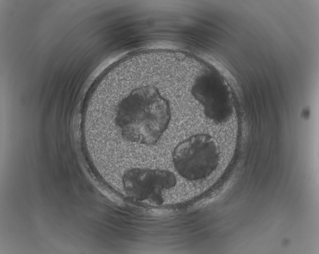 X0000116780933201001281651