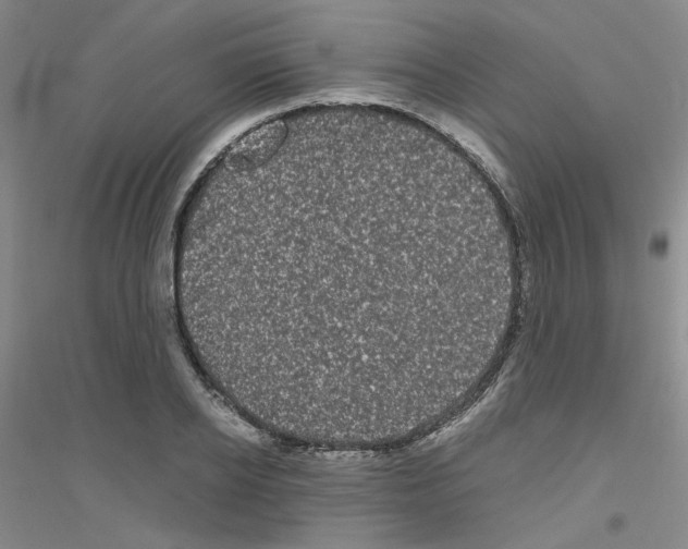 X0000116780934201001281651