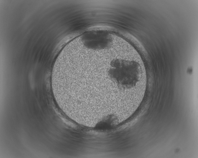 X0000116780937201001281651