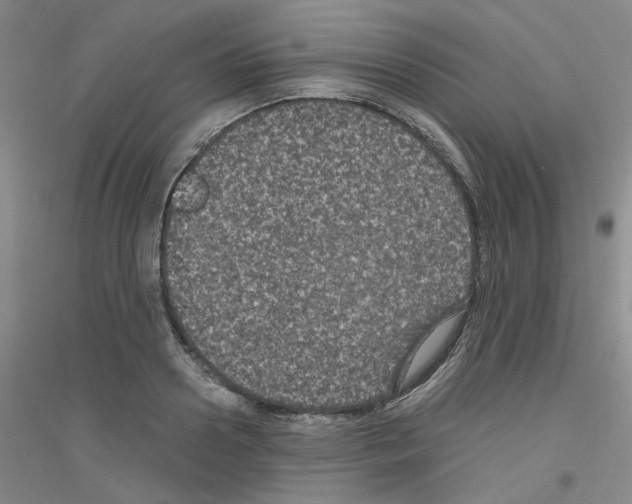 X0000116780938201001281651