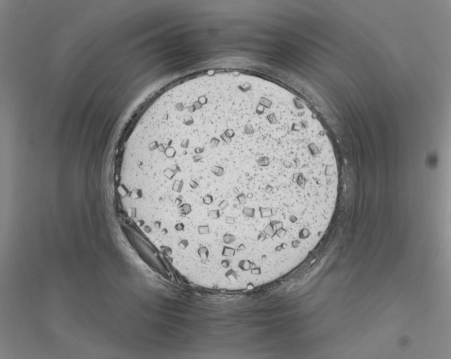 X0000116780939201001281651