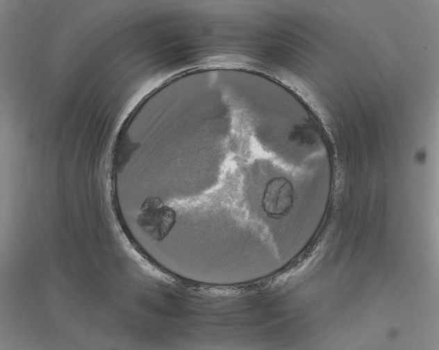 X0000116780941201001281651