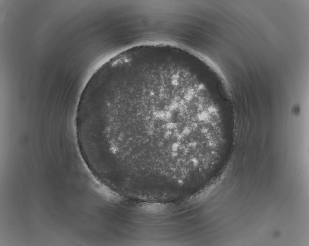 X0000116780943201001281651