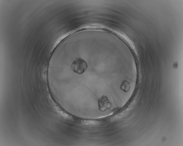 X0000116780945201001281651