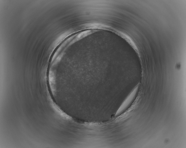 X0000116780946201001281651