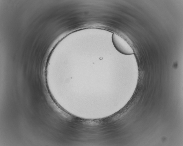 X0000116780947201001281651