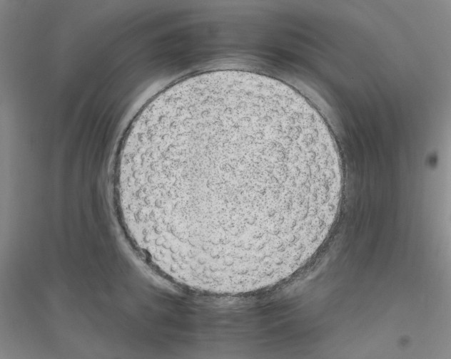 X0000116780949201001281651