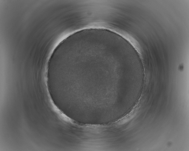 X0000116780950201001281651