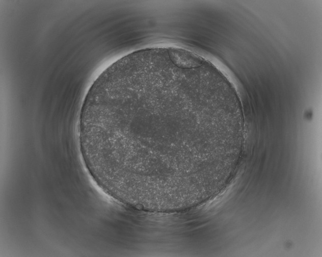 X0000116780951201001281651