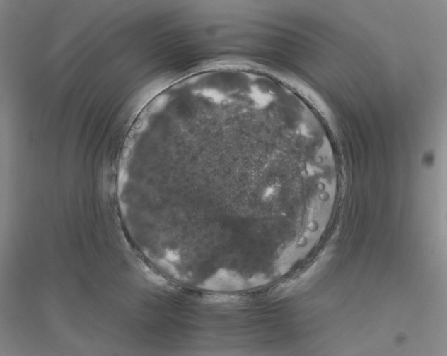 X0000116780953201001281651