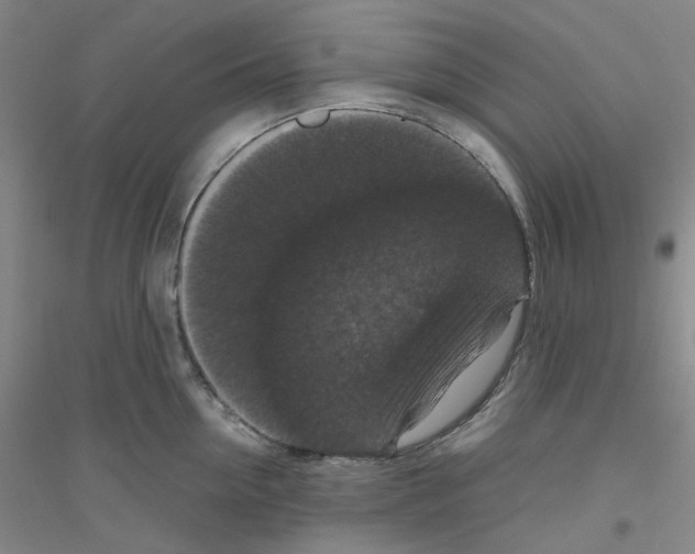 X0000116780954201001281651