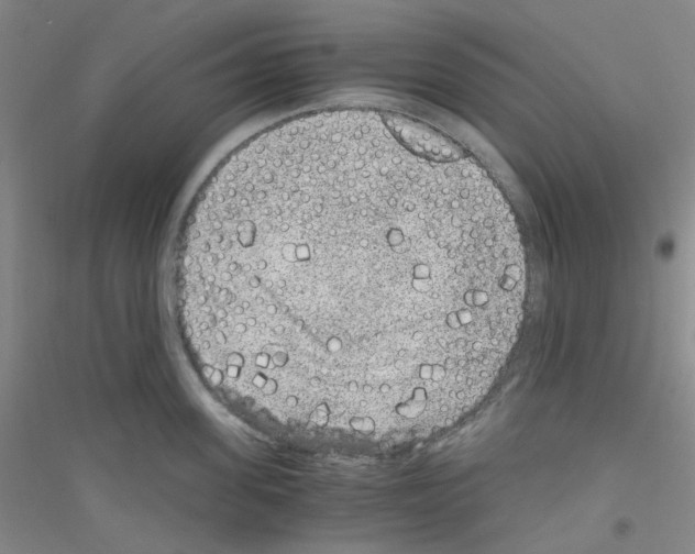 X0000116780955201001281651