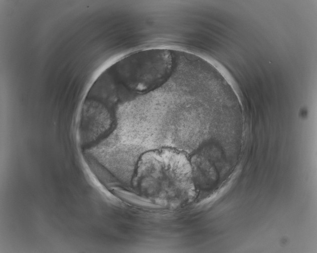 X0000116780957201001281651