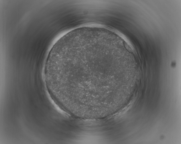 X0000116780959201001281651