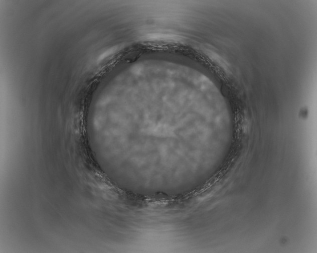 X0000116780965201001281651