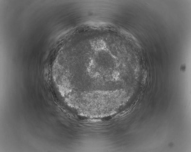 X0000116780966201001281650