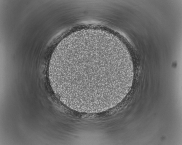 X0000116780967201001281650