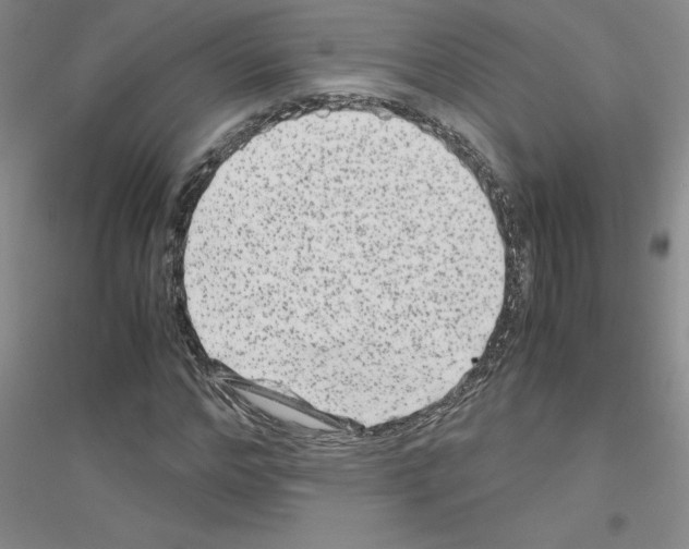 X0000116780968201001281650