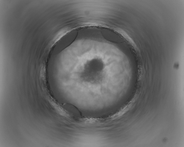 X0000116780969201001281650